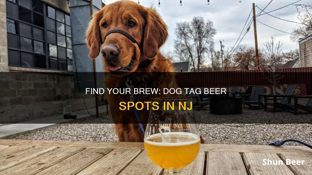 where to buy dog tag beer in nj