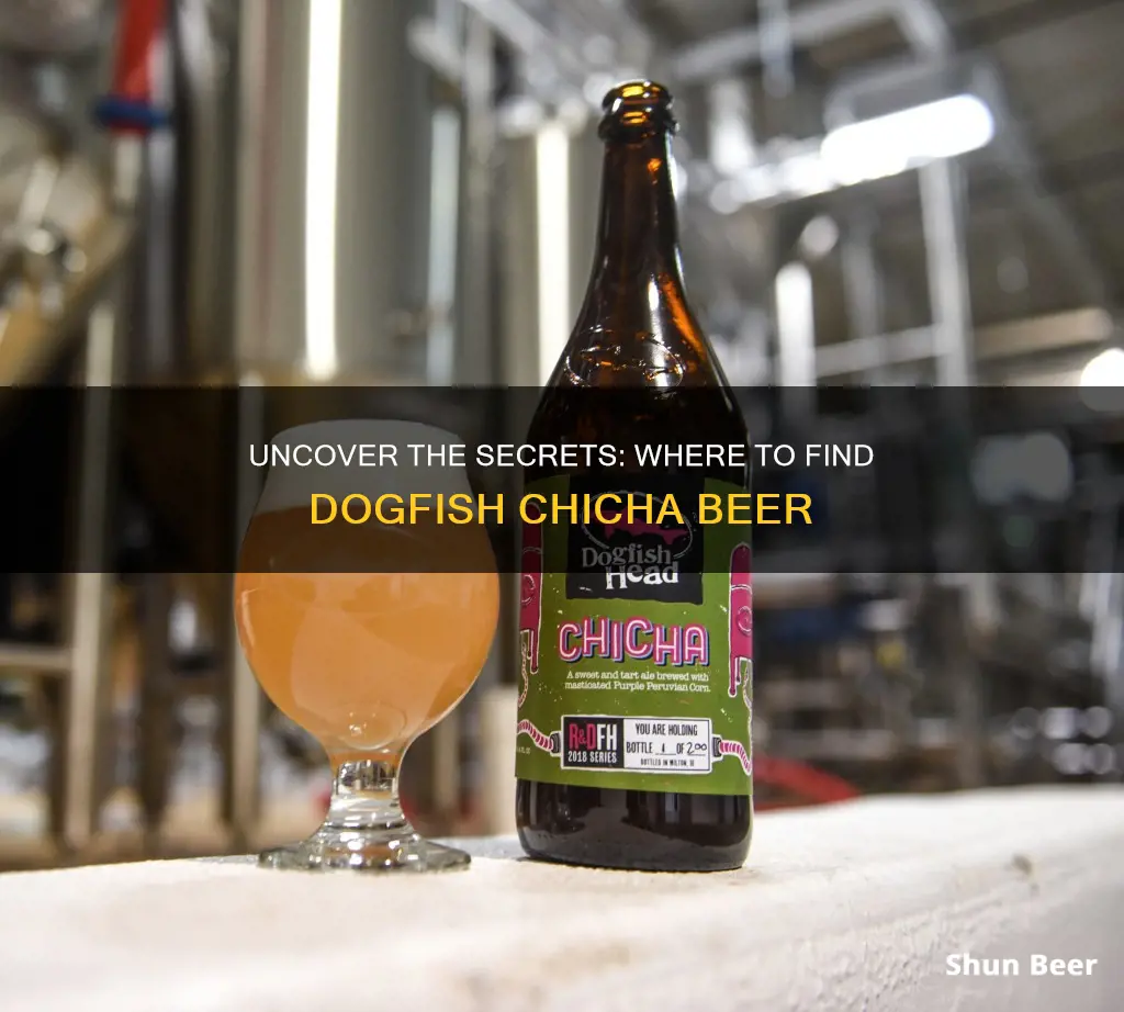 where to buy dogfish chicha beer