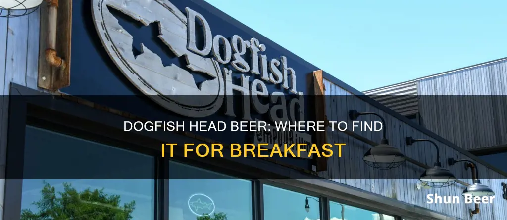 where to buy dogfish head beer for breakfast