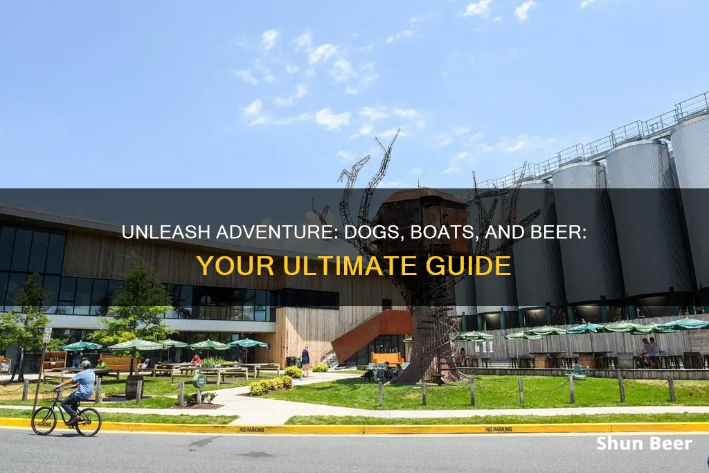 where to buy dogs and boats beer