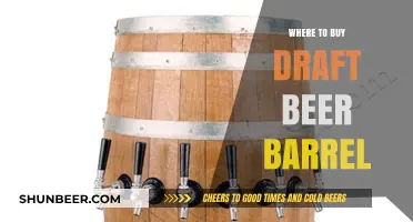 The Ultimate Guide to Draft Beer Barrels: Where to Buy and How to Choose