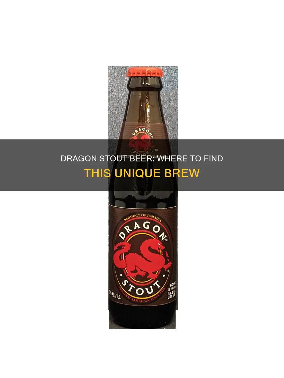 where to buy dragon stout beer