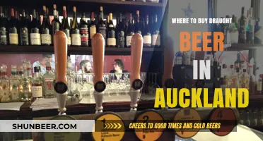 Craft Beer Paradise: Top Spots for Draught Beer in Auckland