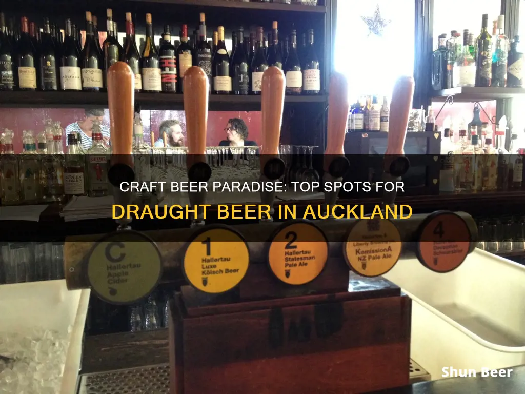 where to buy draught beer in auckland