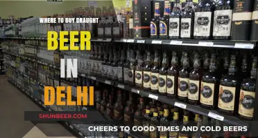 Craft Beer Haven: Exploring Delhi's Best Draught Beer Spots