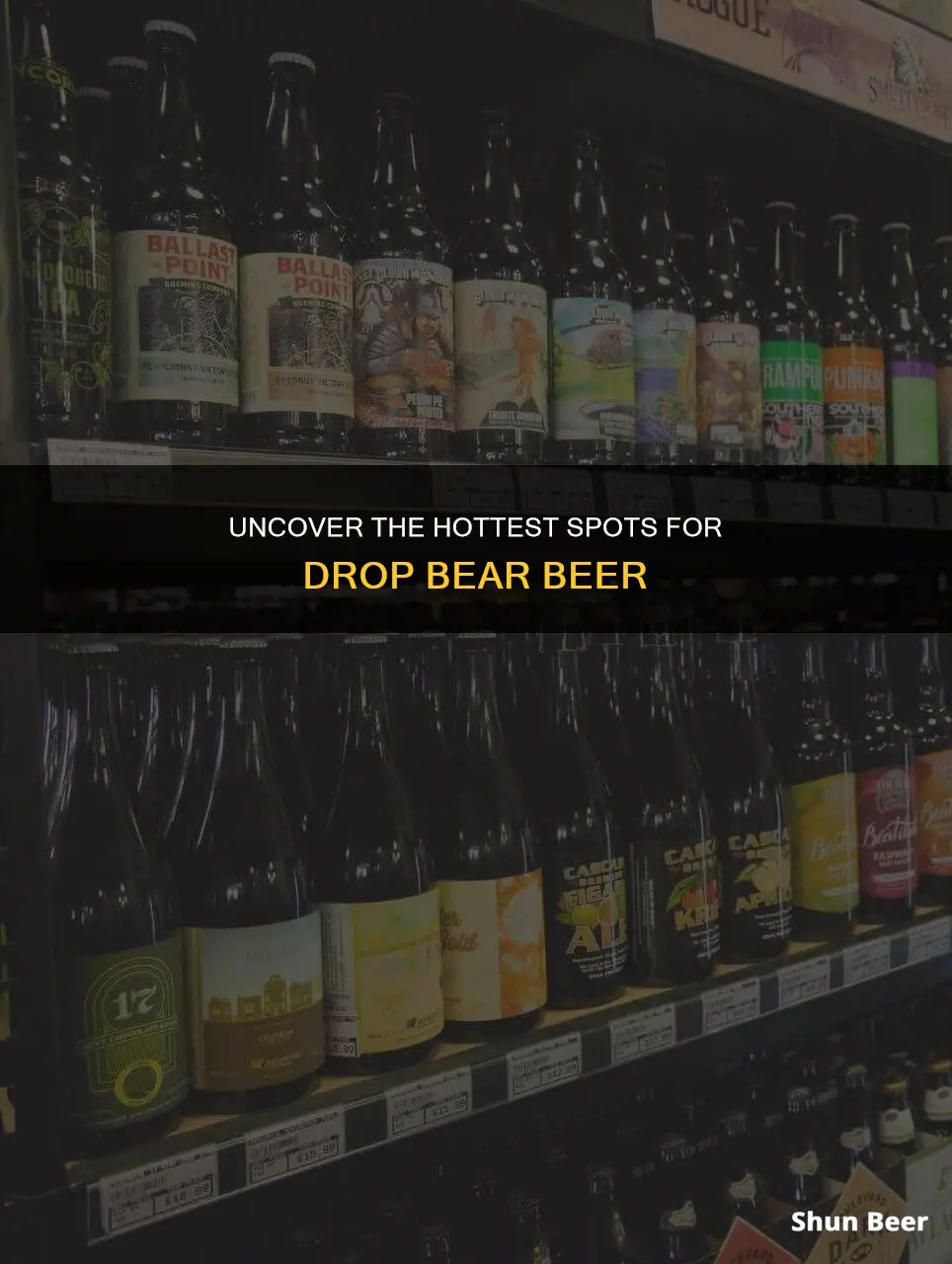 where to buy drop bear beer