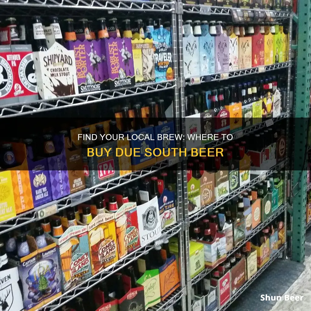 where to buy due south beer