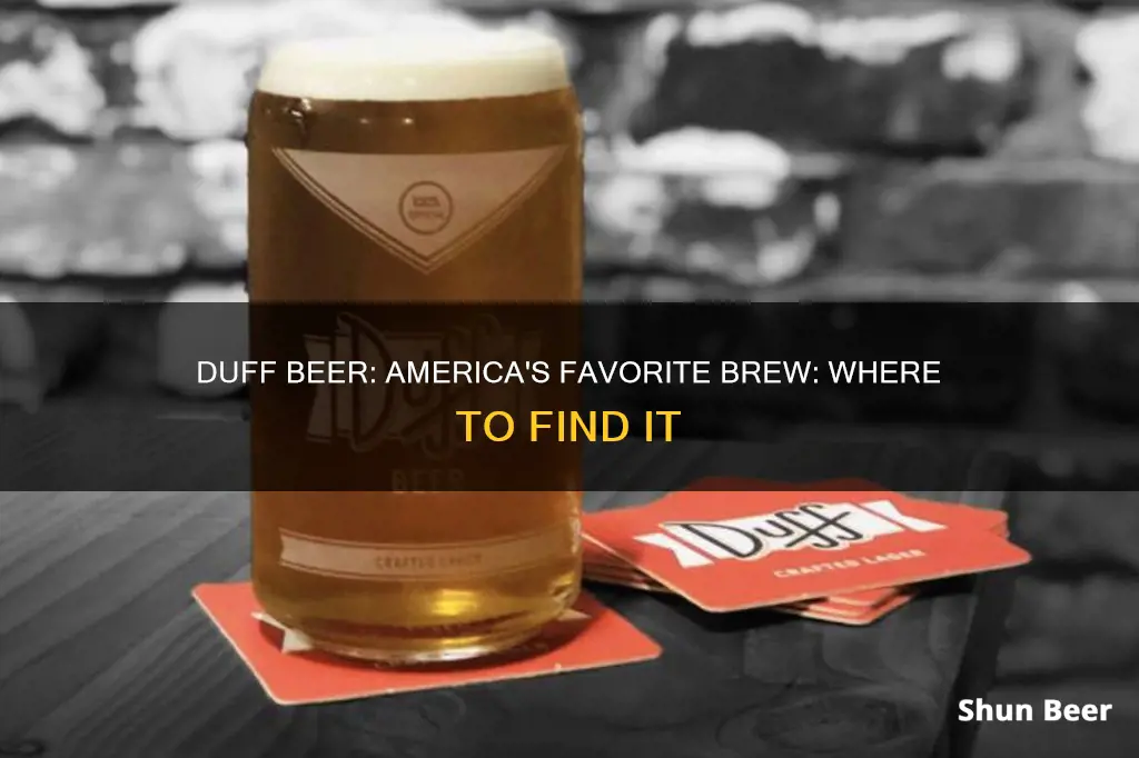 where to buy duff beer in america