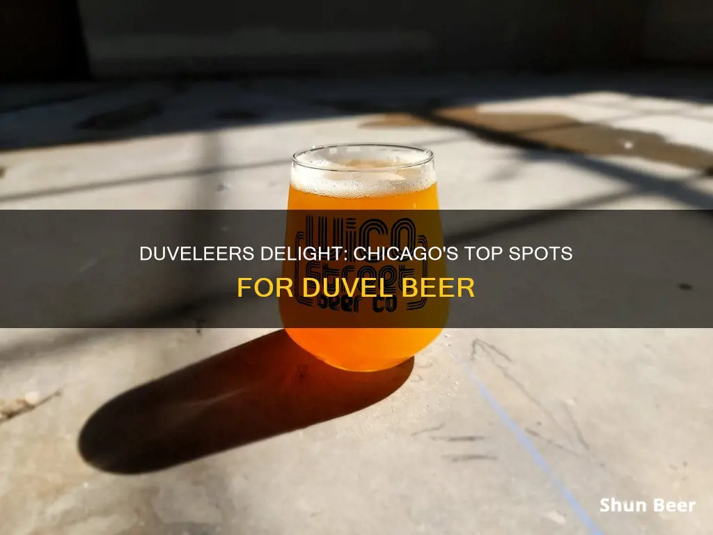 where to buy duvel beer in chicago