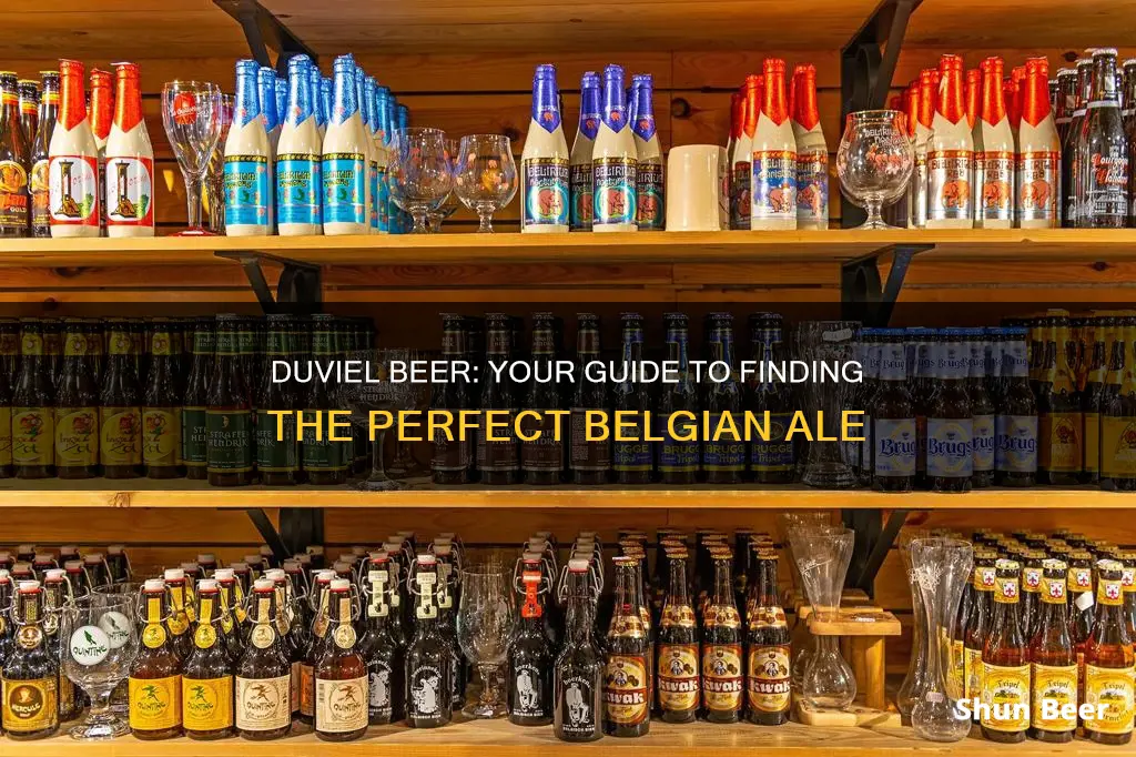 where to buy duvel beer