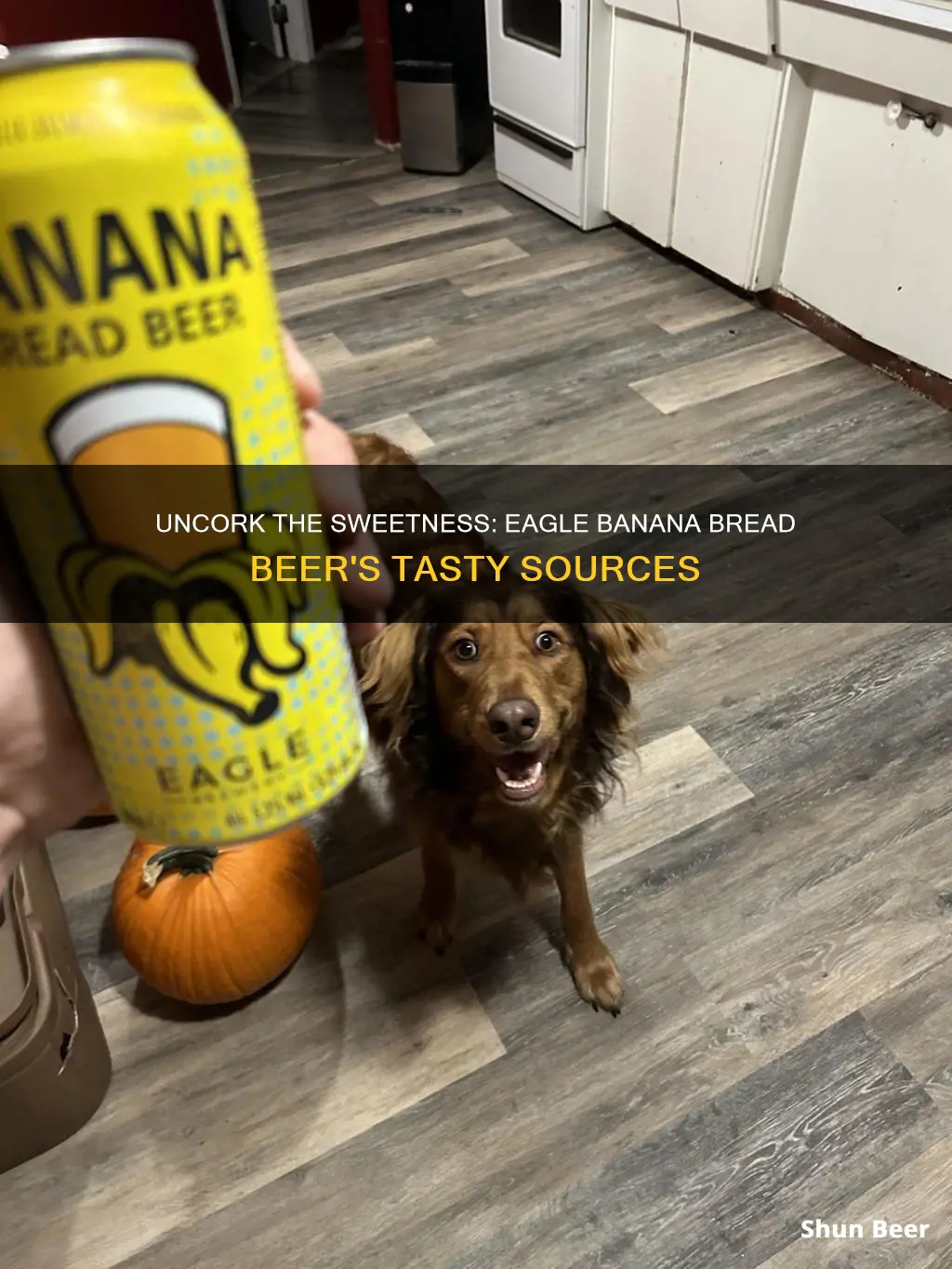 where to buy eagle banana bread beer