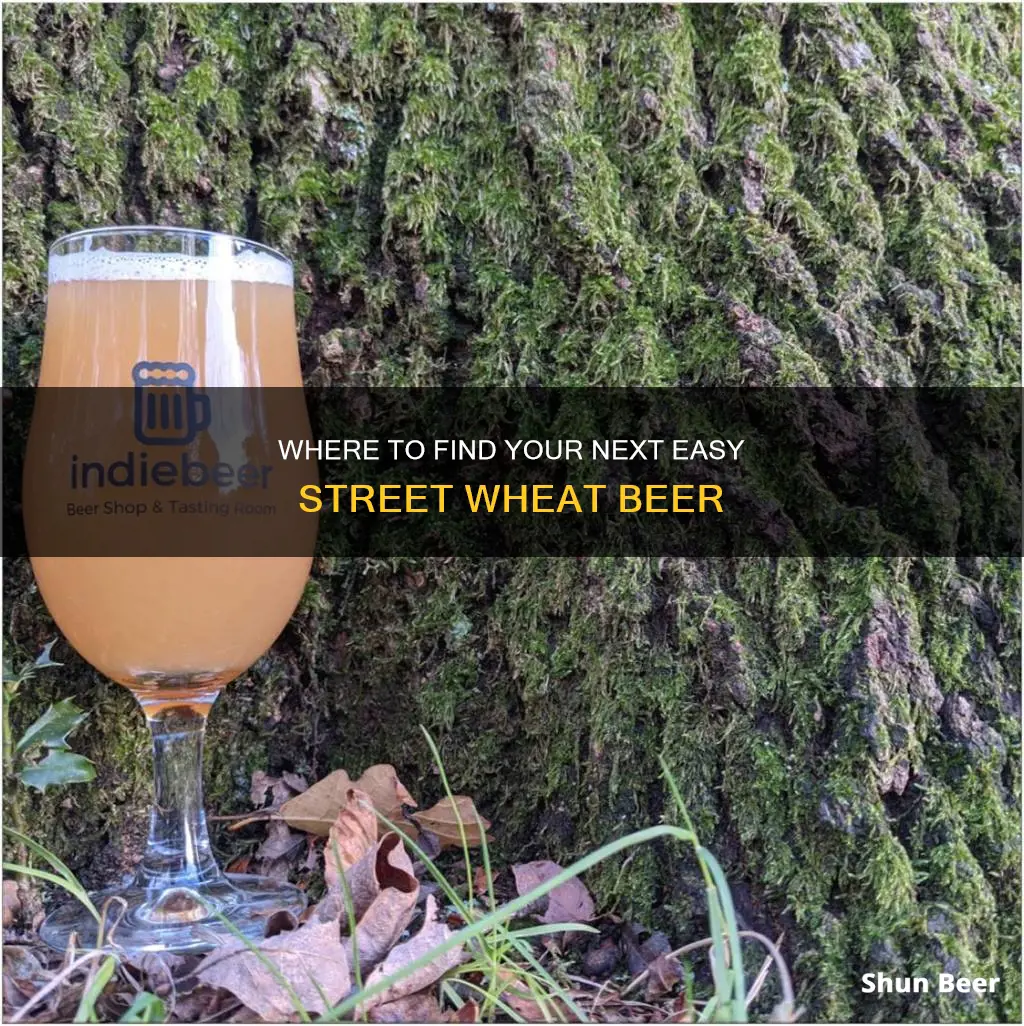 where to buy easy street wheat beer