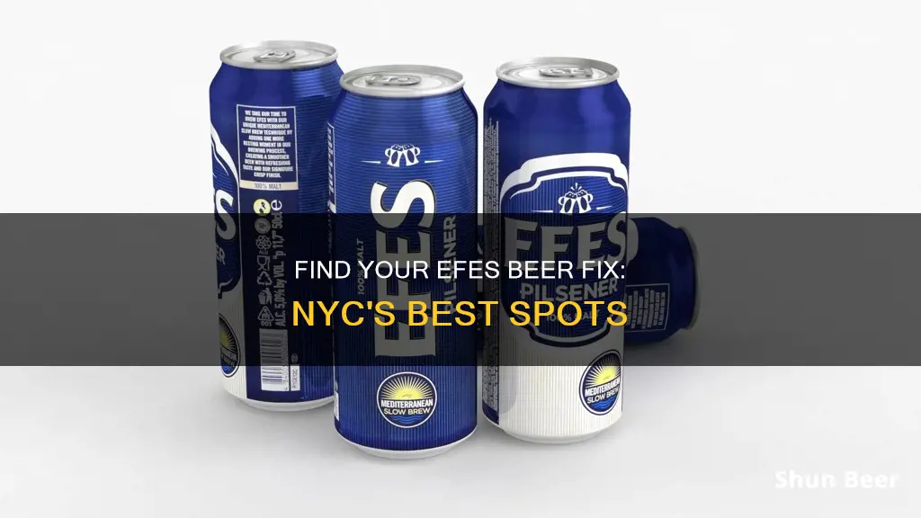 where to buy efes beer in nyc