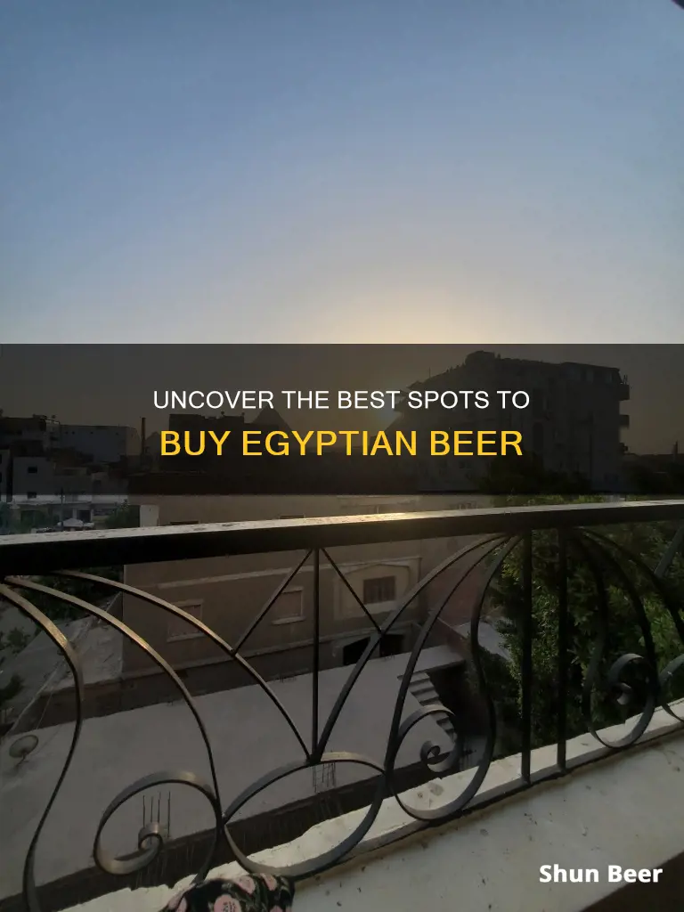 where to buy egyptian beer