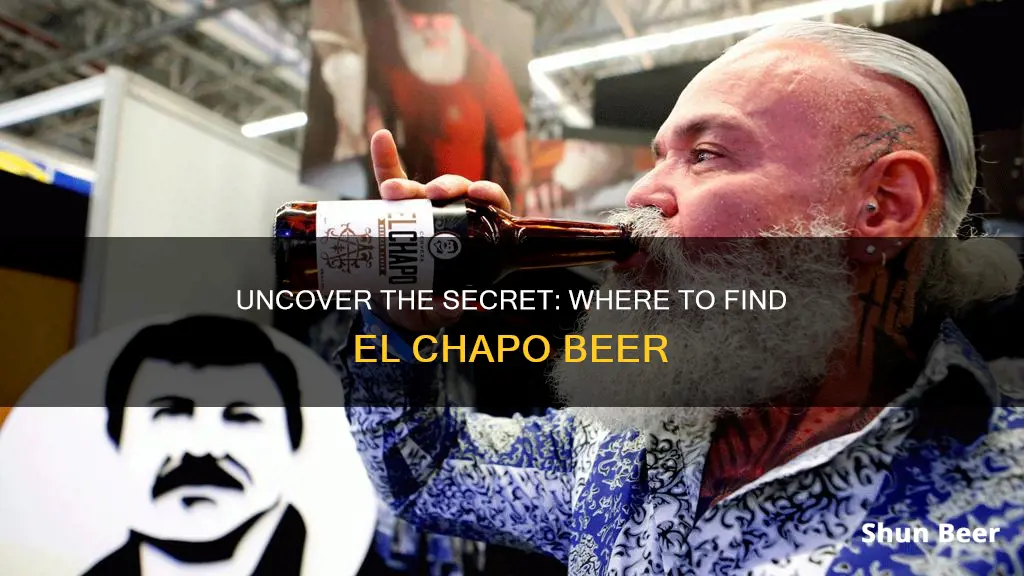 where to buy el chapo beer