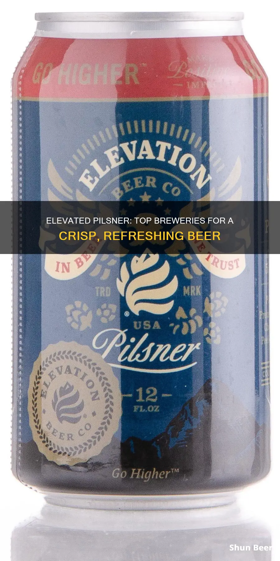 where to buy elevation pilsner beer