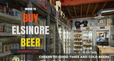 Elsinore Beer: Your Local Guide to Finding the Perfect Brew