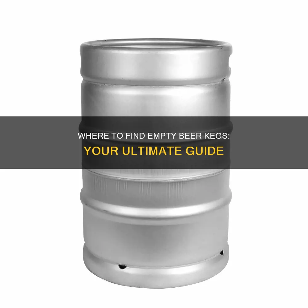 where to buy empty beer keg