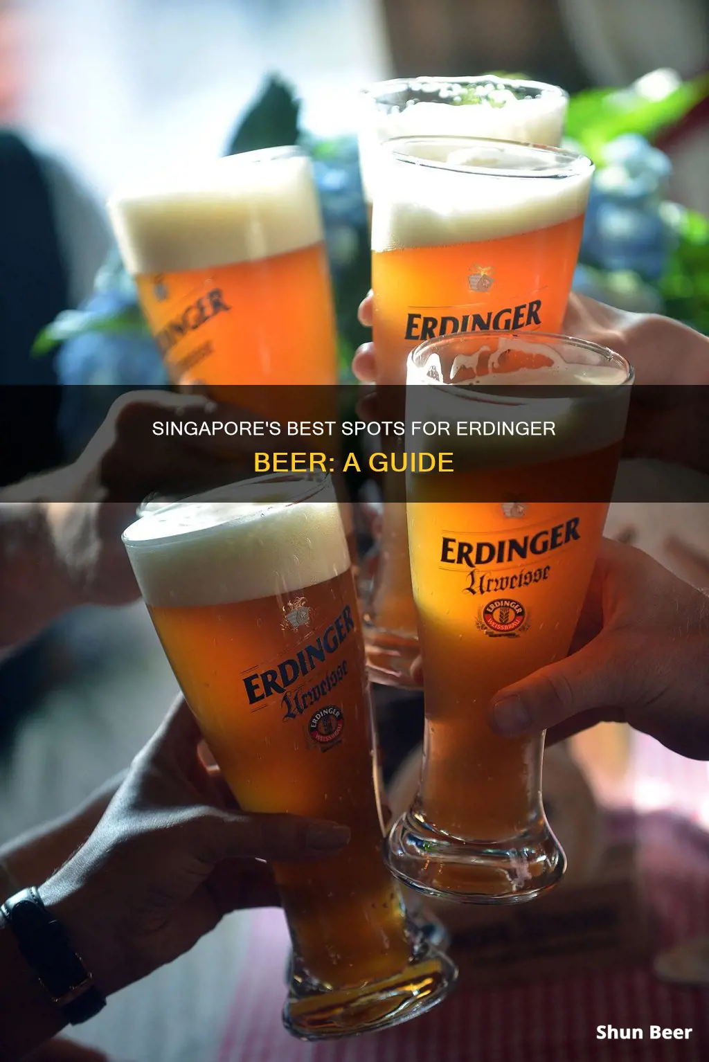 where to buy erdinger beer in singapore