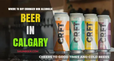 Find Your Non-Alcoholic Beer Fix: Edmonton's Erdinger Spots