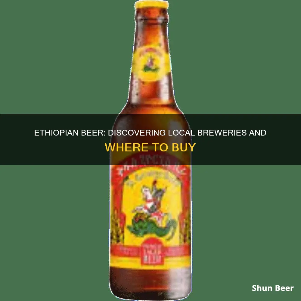 where to buy ethiopian beer