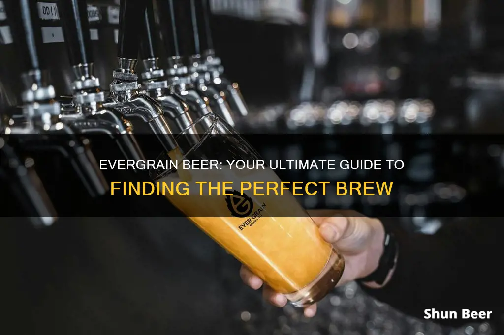 where to buy evergrain beer