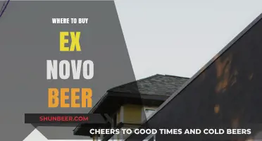 Uncover the Best Spots for Ex Novo Beer: A Guide to Local Breweries