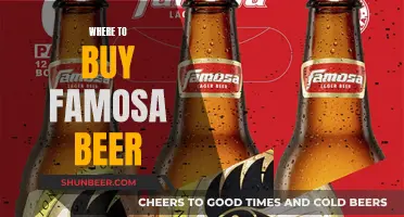 Famosa Beer: Where to Buy and Enjoy It