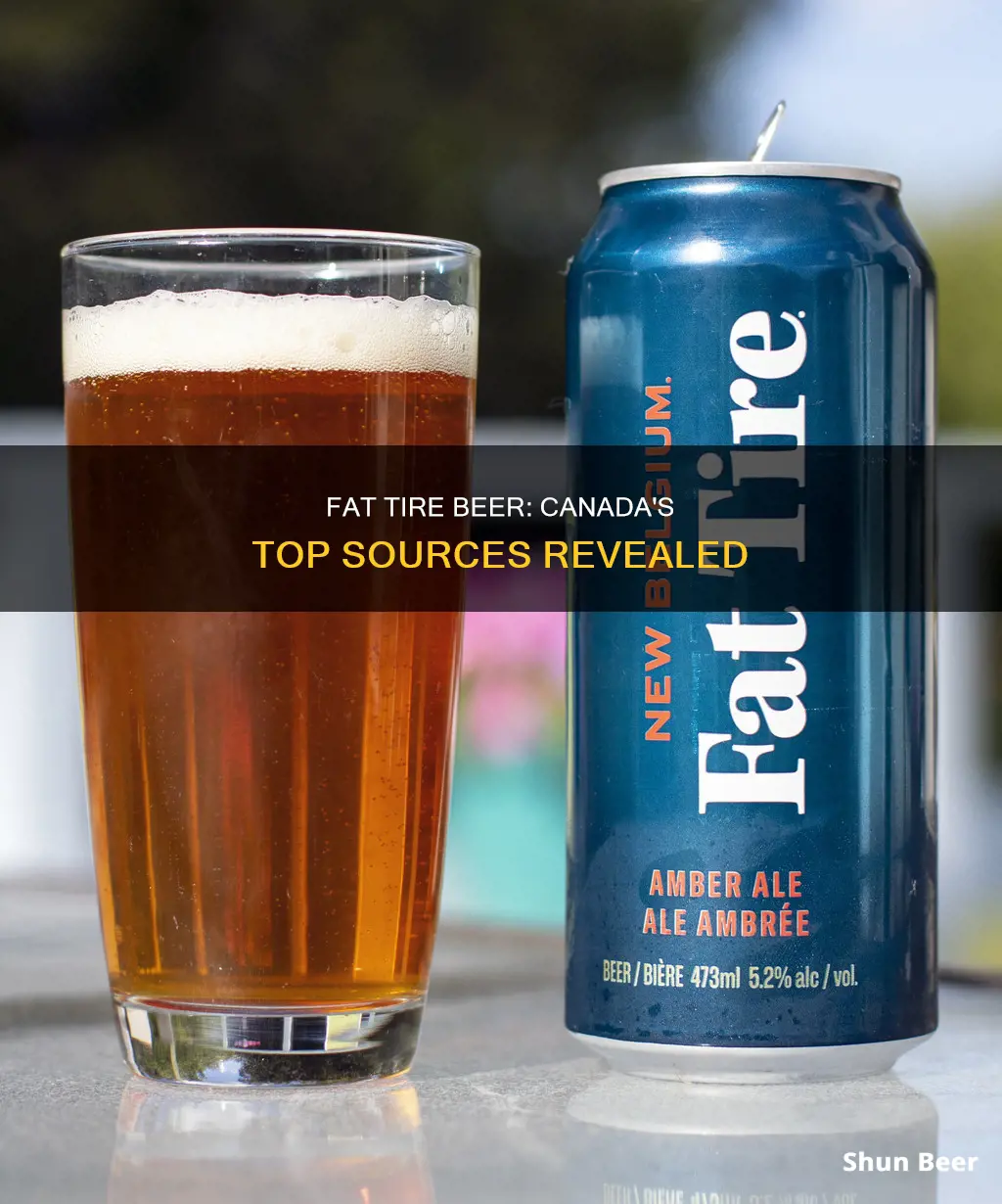 where to buy fat tire beer in canada