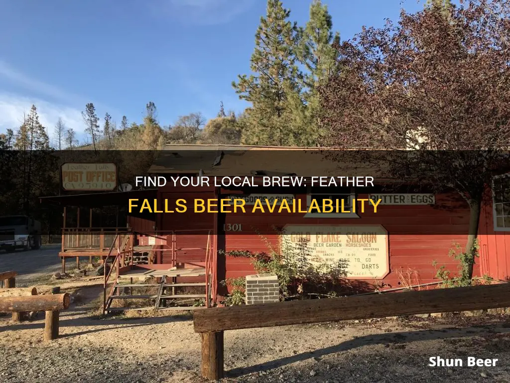 where to buy feather falls beer