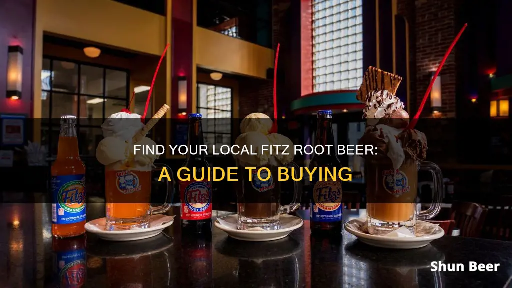 where to buy fitz root beer