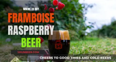 The Best Places to Buy Framboise Raspberry Beer