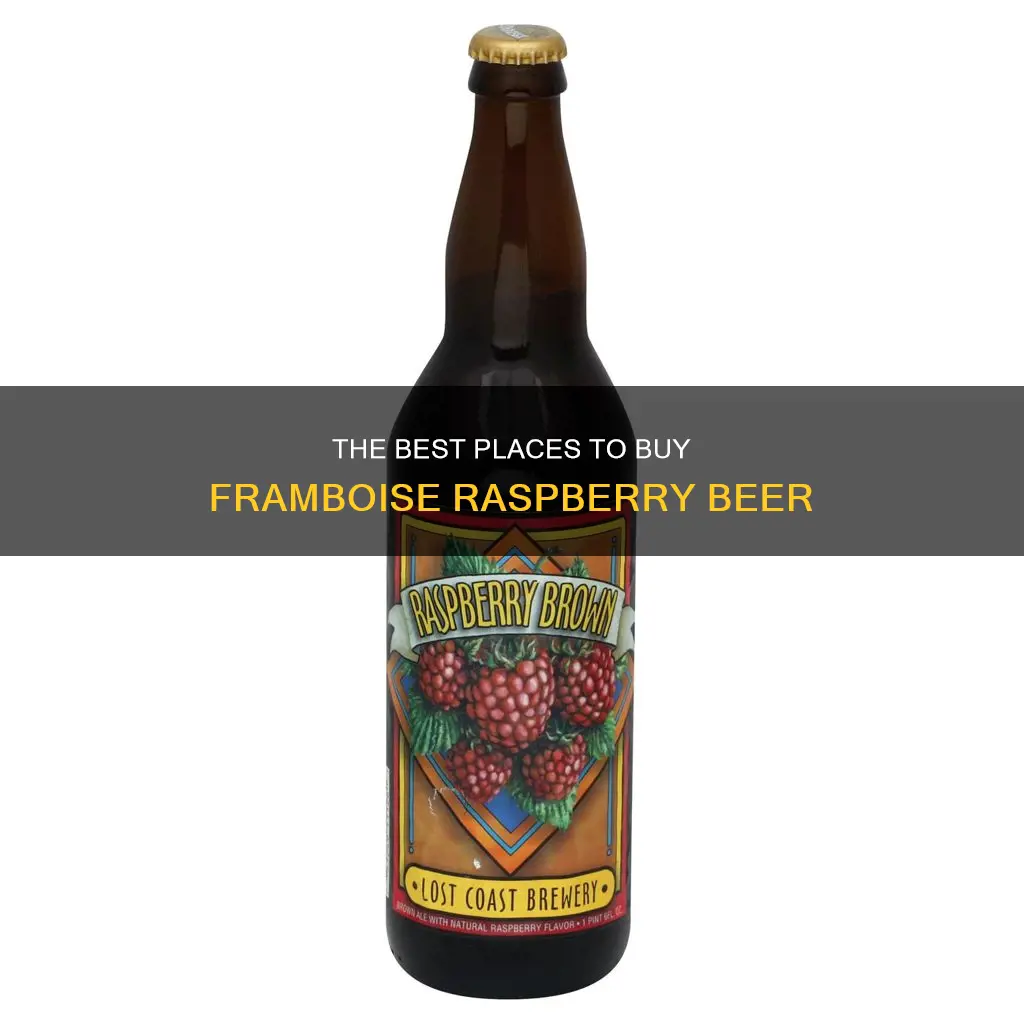 where to buy framboise raspberry beer