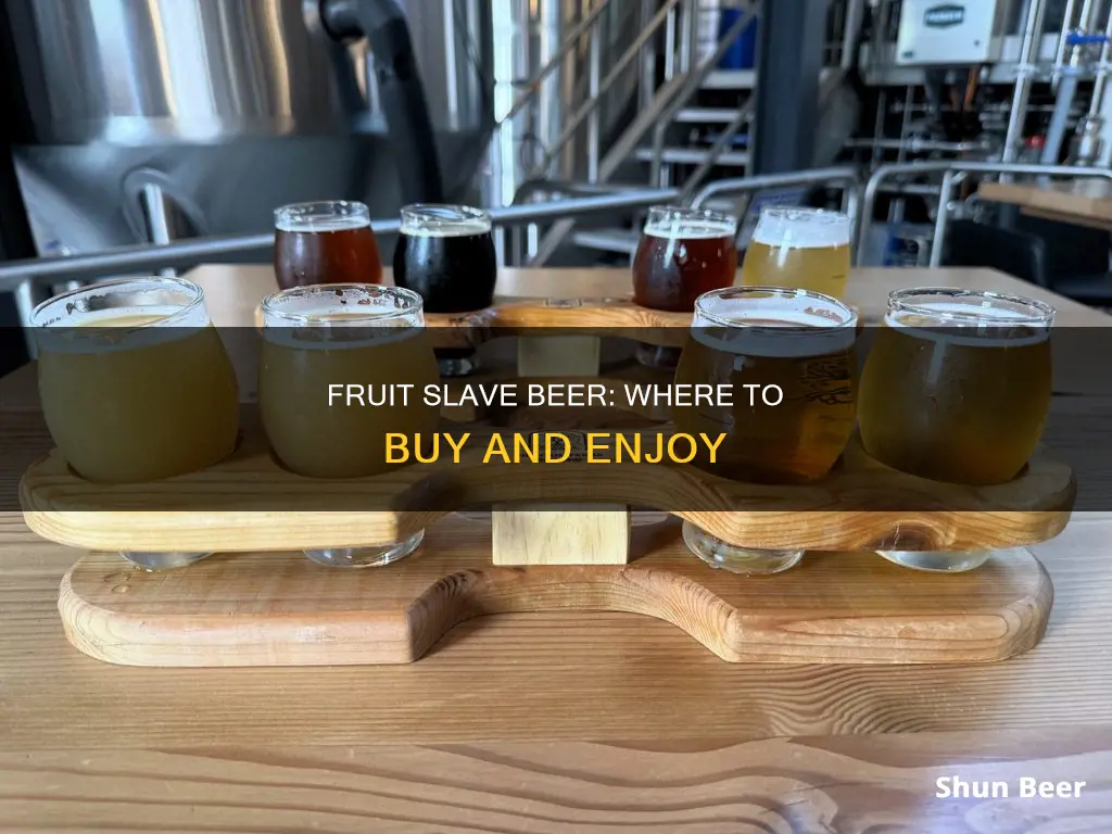 where to buy fruit slave beer