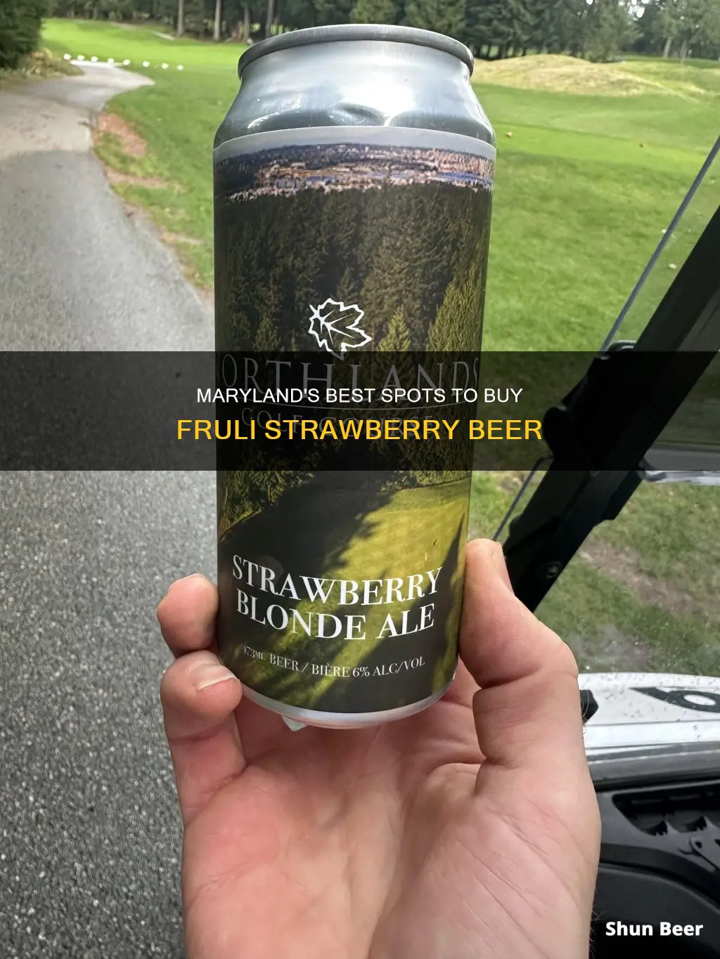 where to buy fruli strawberry beer in maryland