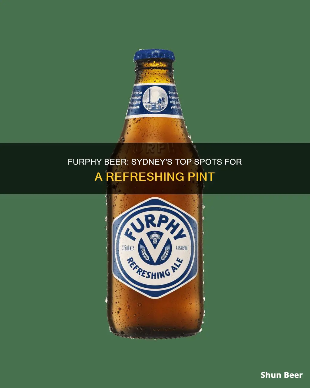 where to buy furphy beer in sydney