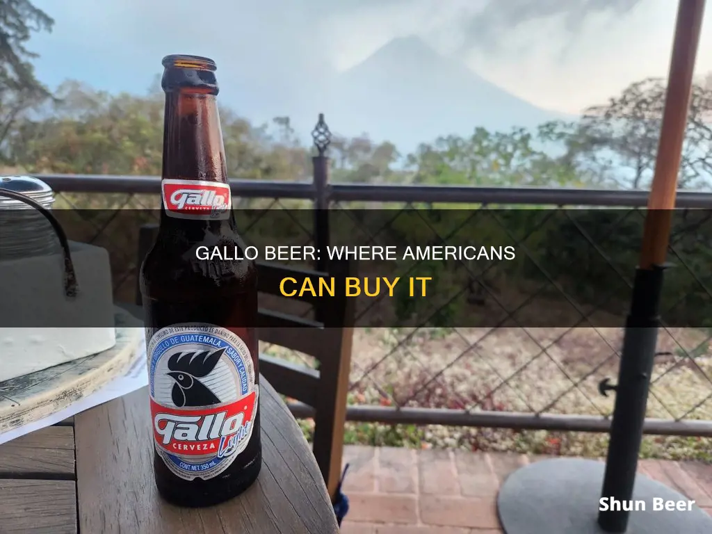 where to buy gallo beer in america