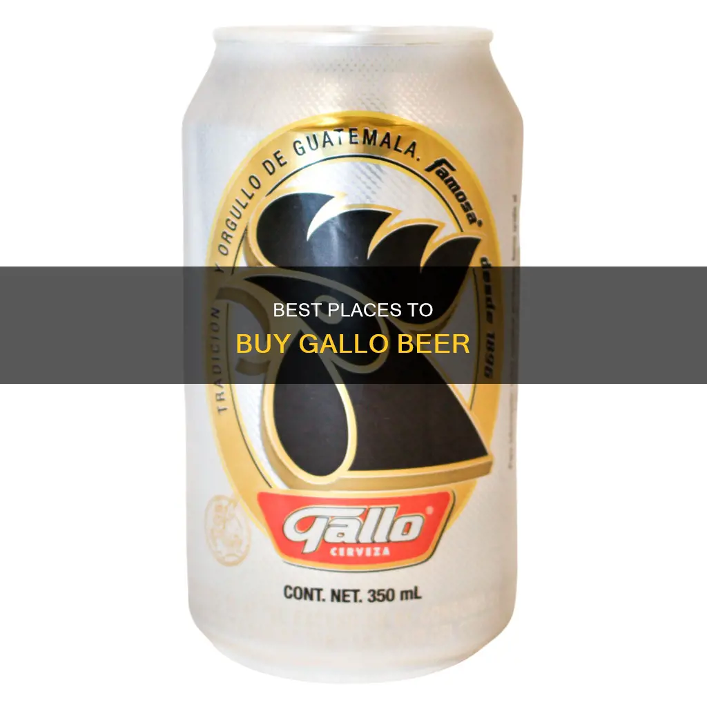 where to buy gallo beer