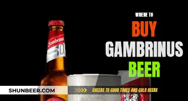 Gambrinus Beer: Best Places to Buy