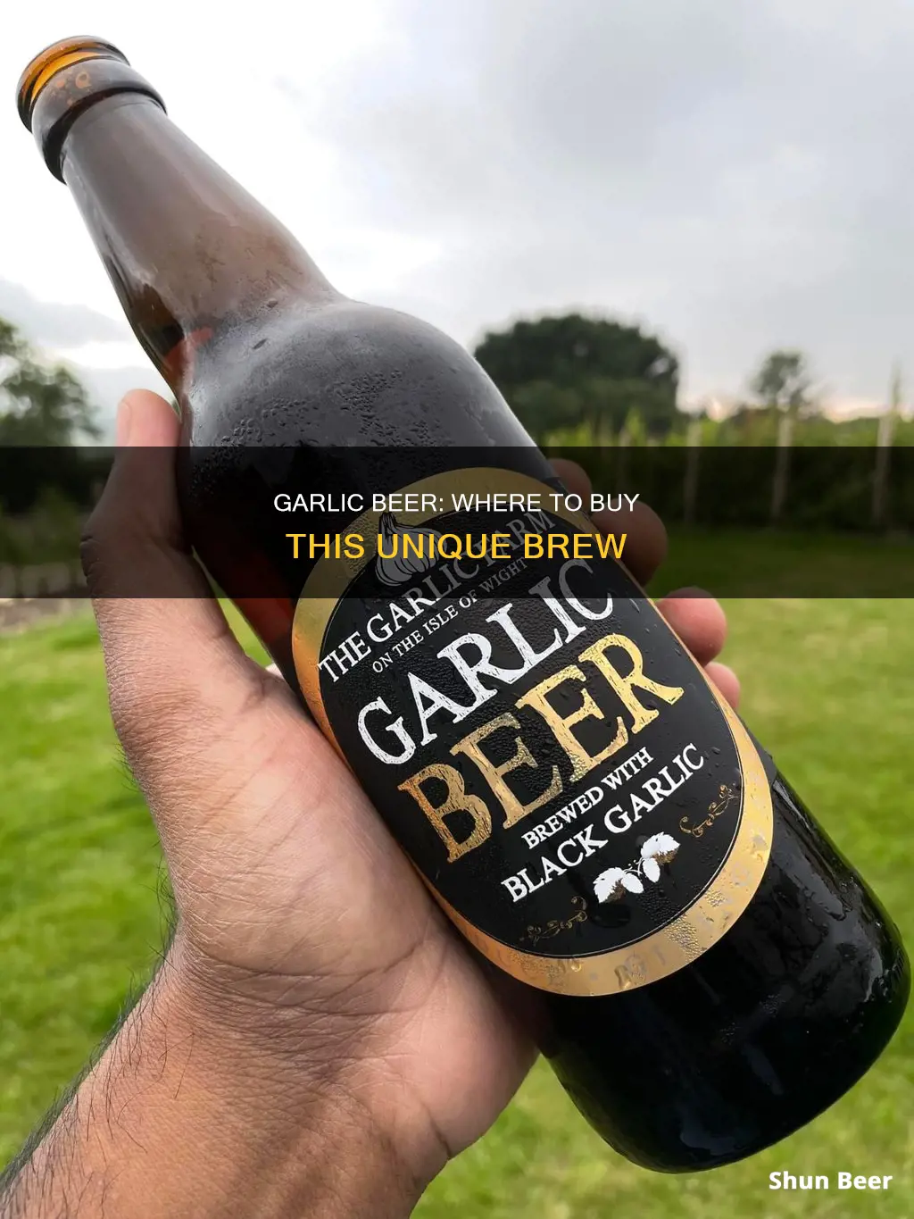 where to buy garlic beer