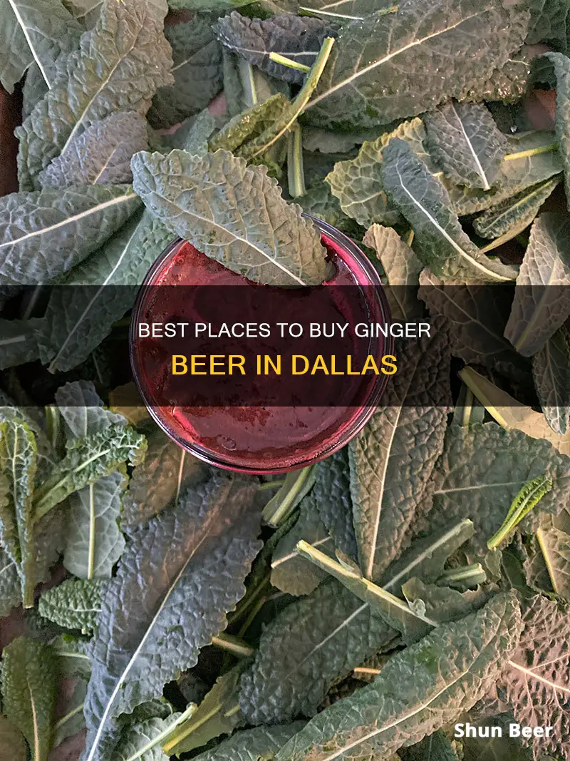 where to buy ginger beer in dallas