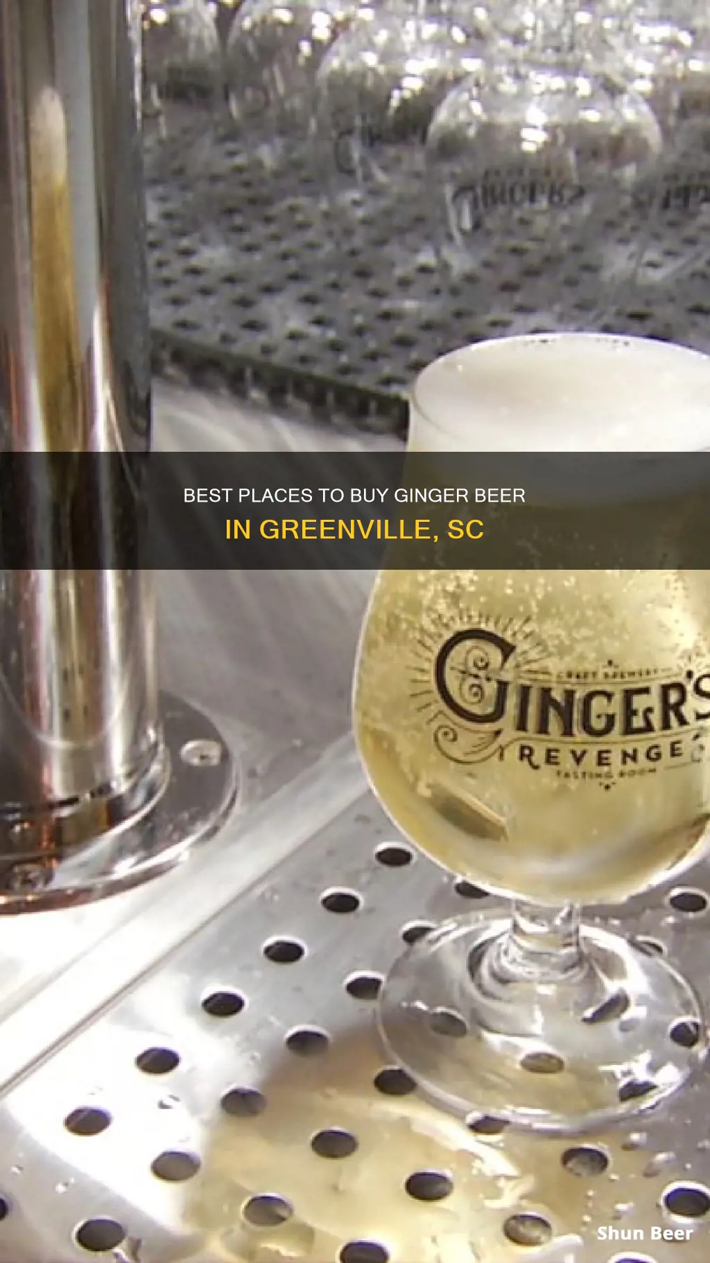 where to buy ginger beer in greenville sc