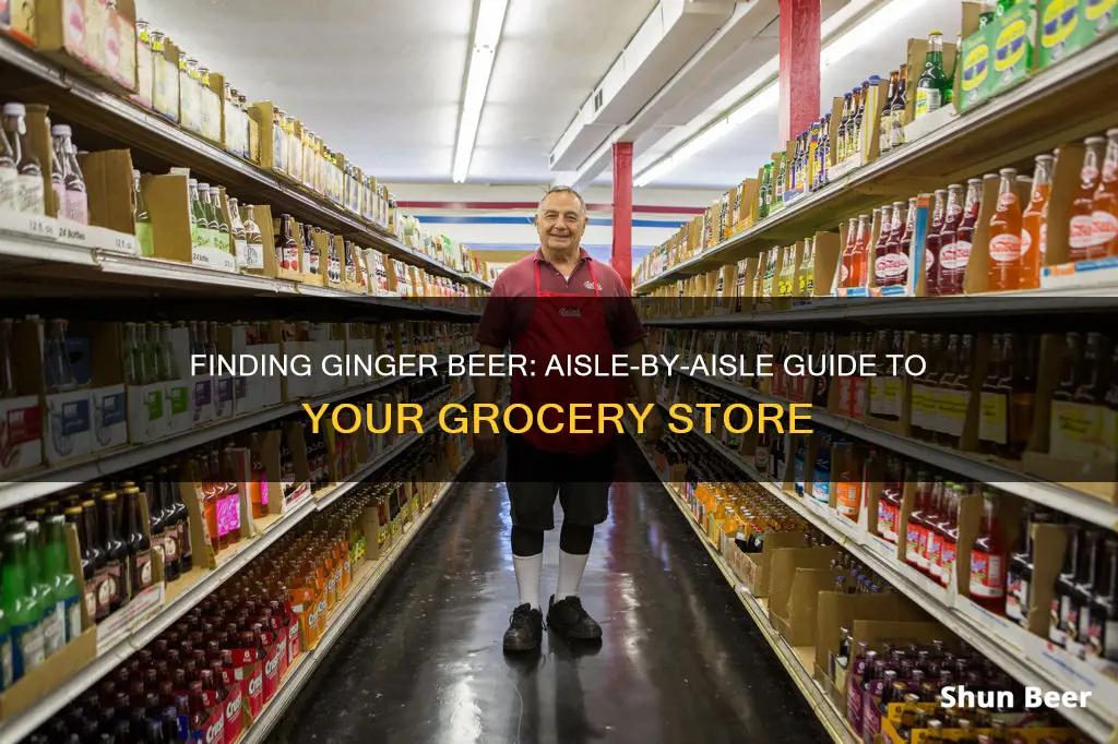 where to buy ginger beer in grocery store