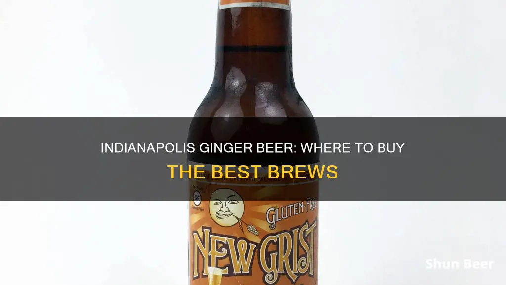 where to buy ginger beer in indianapolis