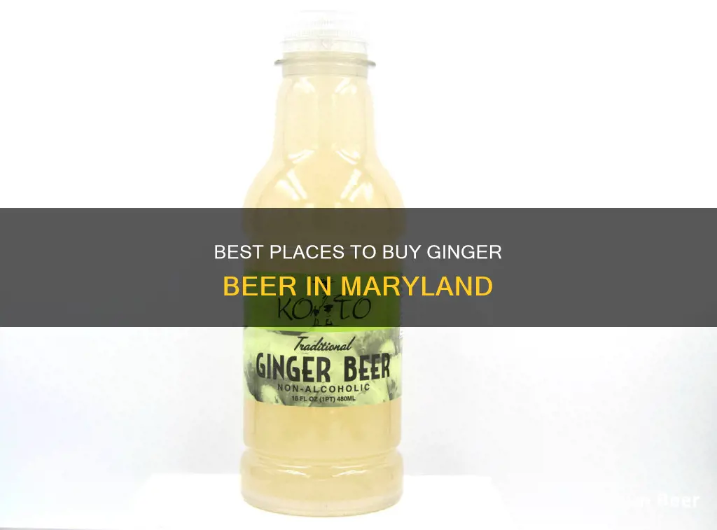 where to buy ginger beer in maryland