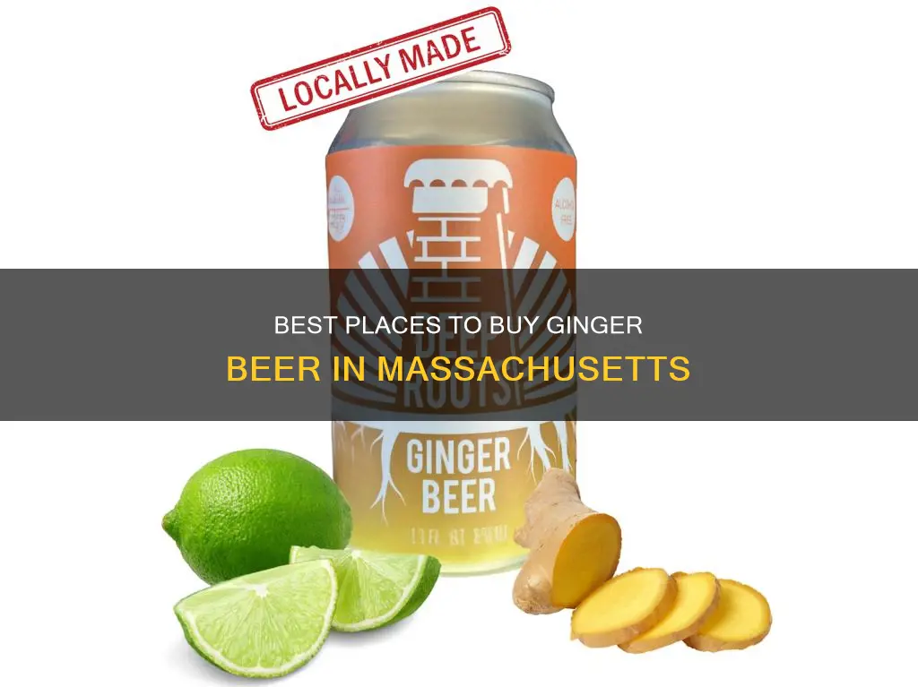 where to buy ginger beer in massachusetts