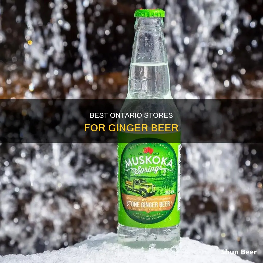 where to buy ginger beer in ontario