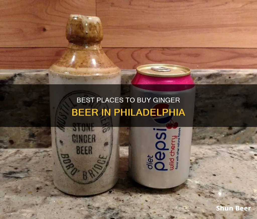 where to buy ginger beer in philadelphia