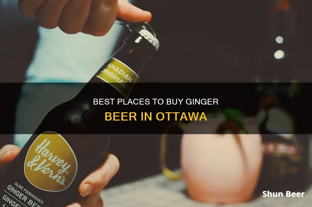 where to buy ginger beer ottawa