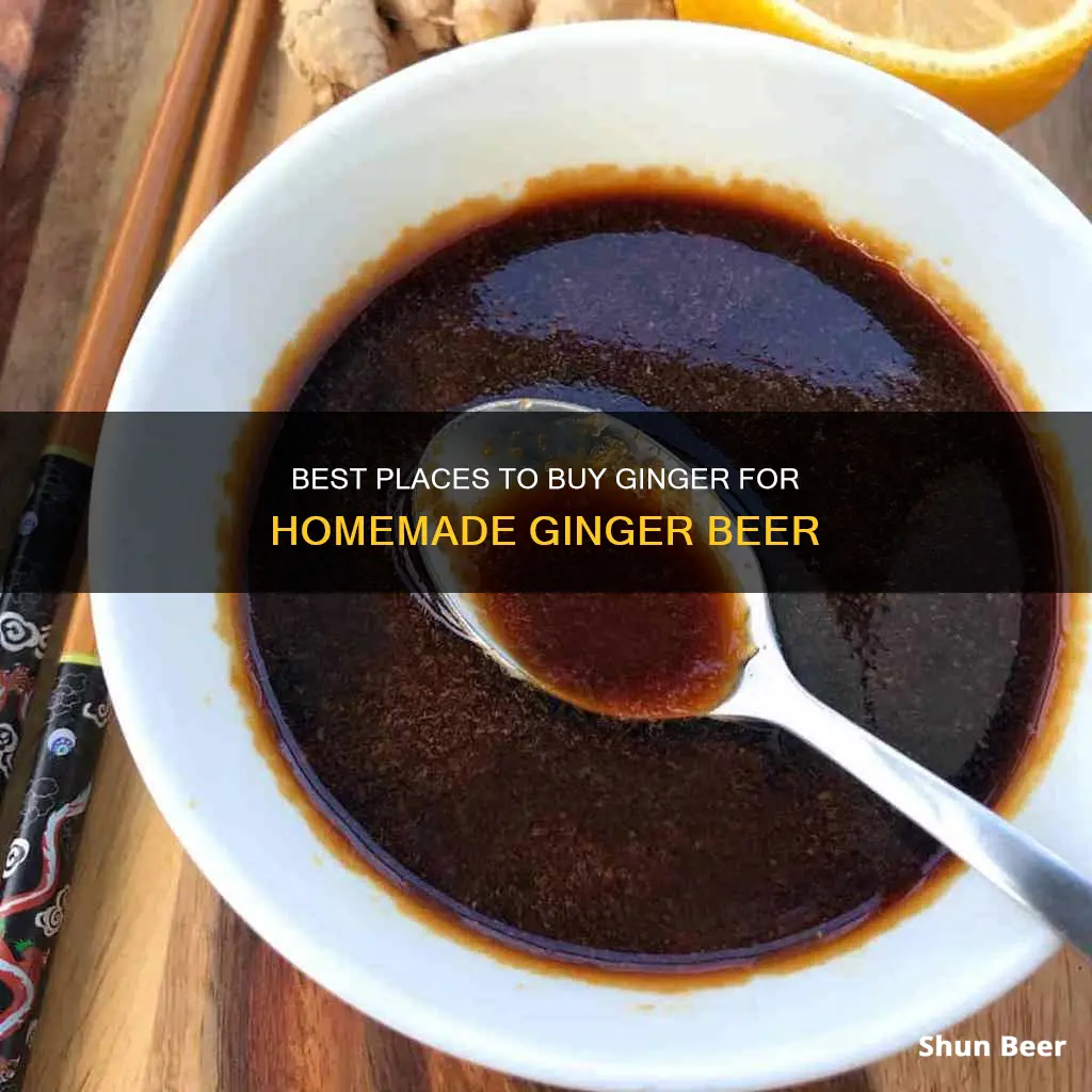 where to buy ginger for making ginger beer